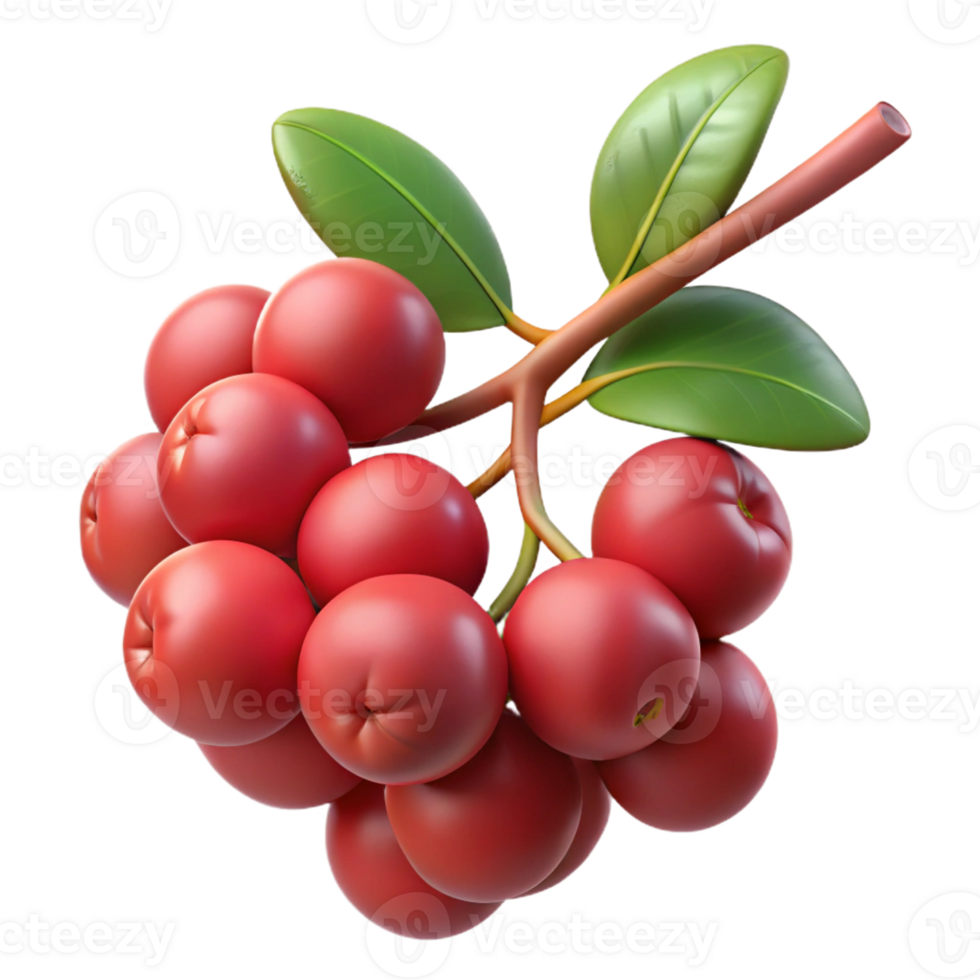 magnificent vintage A Cluster of Ripe Berries on a Branch authentic png