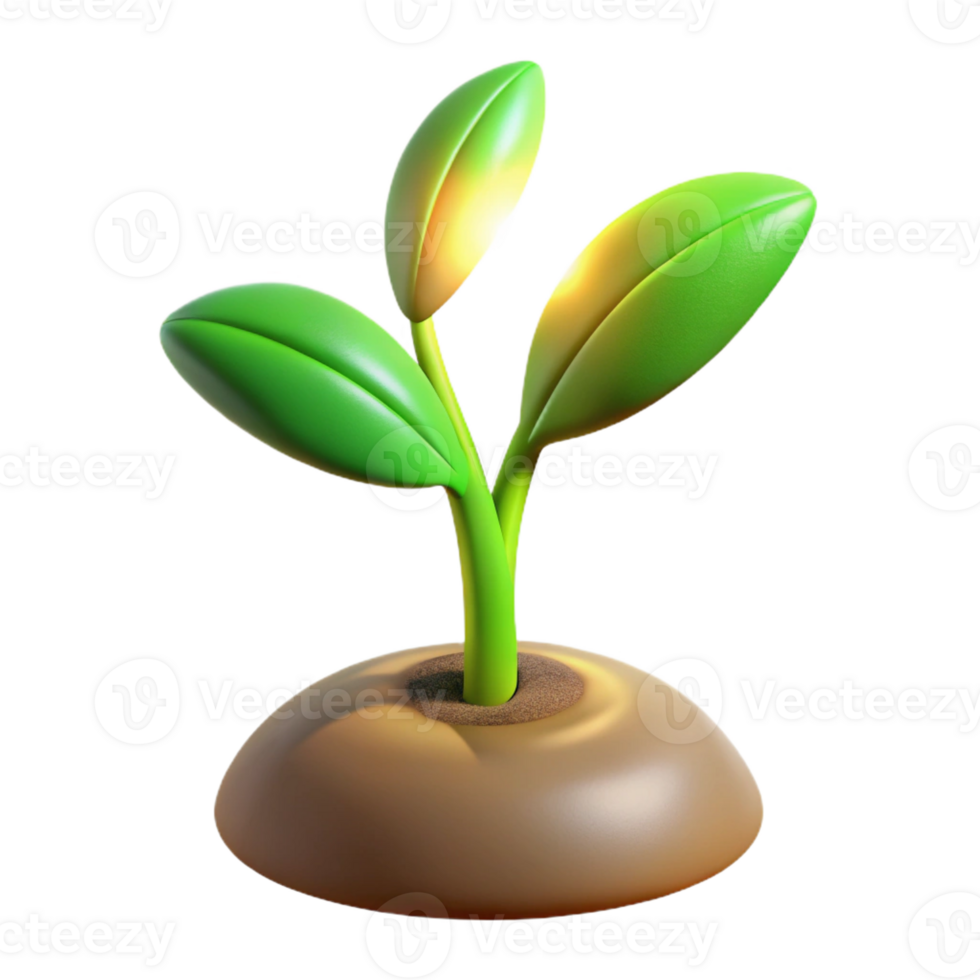 magnificent classic A Sprouting Seedling Reaching Towards the high resolution png