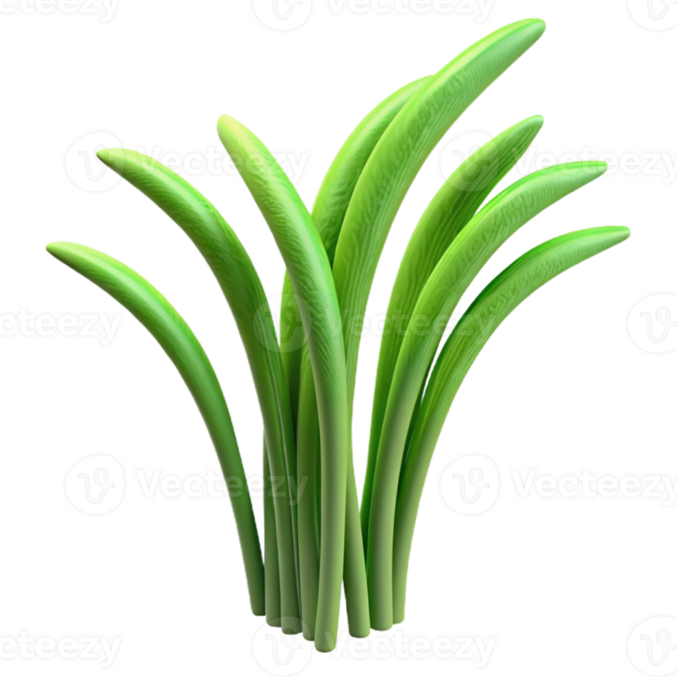 beautiful traditional Curved Grass Stems Green Isolated Cutout Transparent Background detailed png