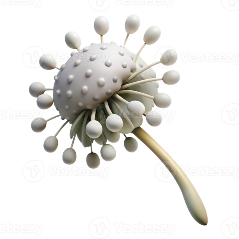 wonderful modern Dancing Dandelion Cutout White Seeds Transparent Background exclusive png