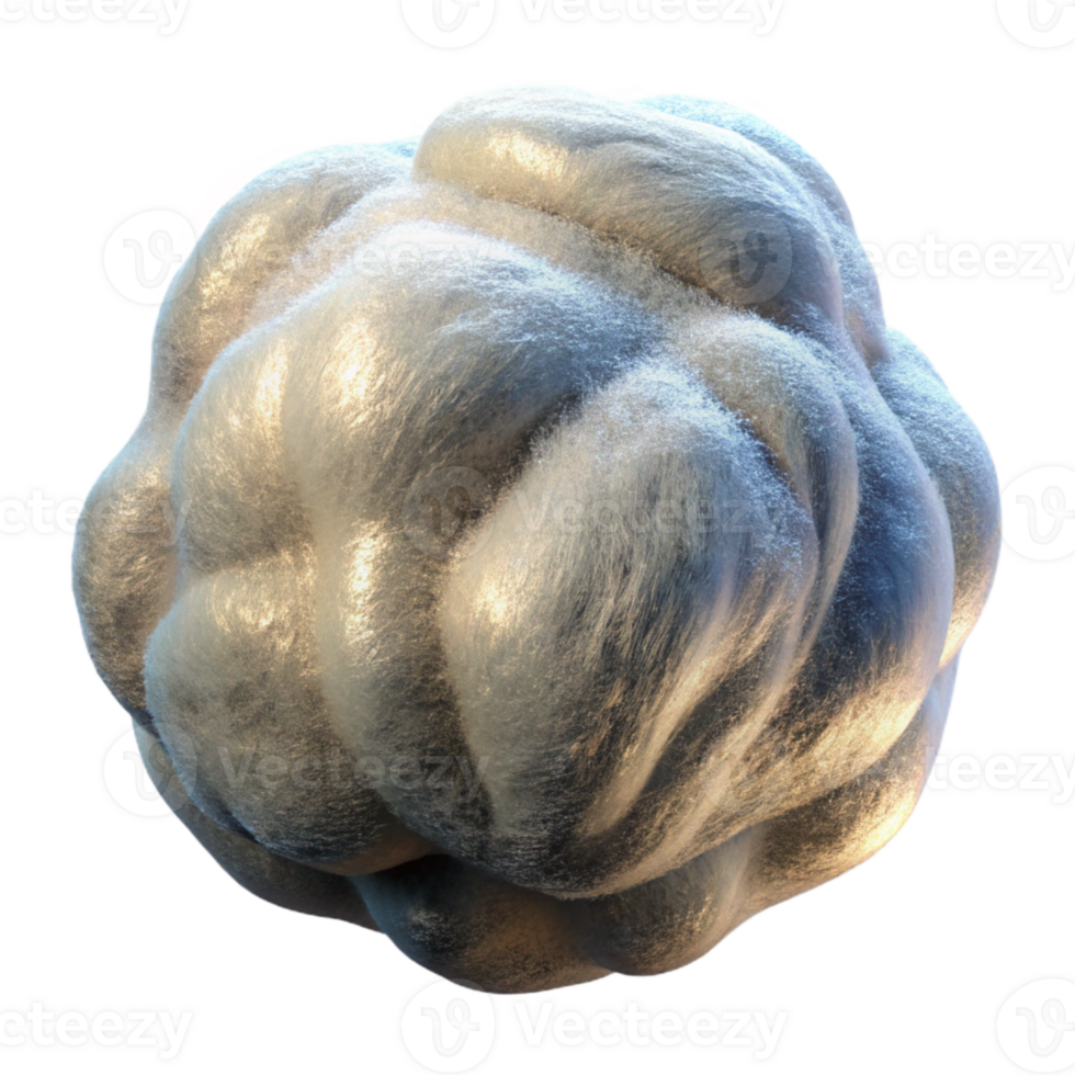 impressive vintage Dew Covered Silk Fibers Isolated with Backlight professional png