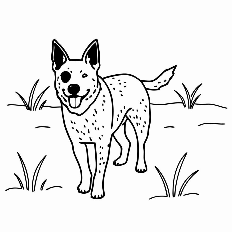 Australian Cattle Dog Line Art vector