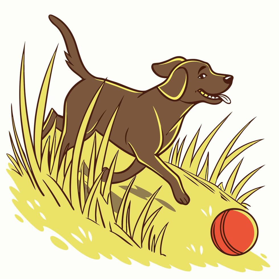 Chocolate Lab Running with Ball in Grass vector