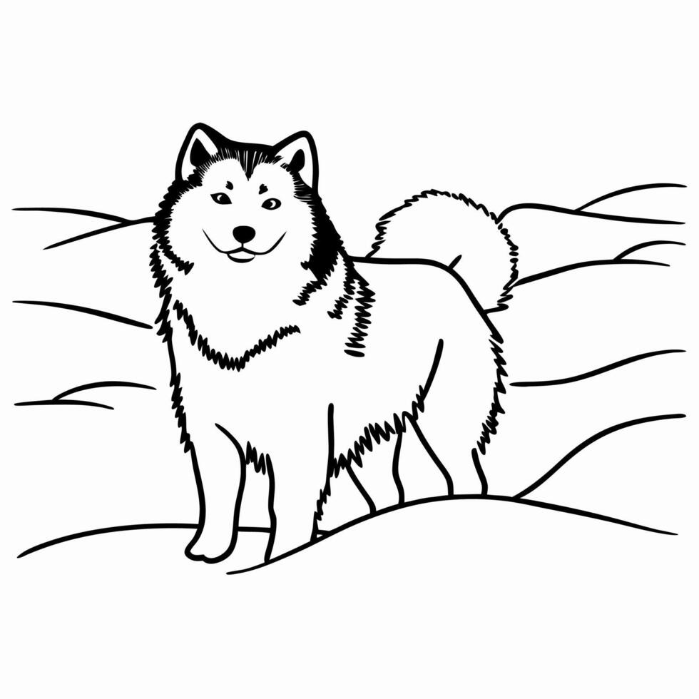 Alaskan Malamute Dog Line Art Drawing vector