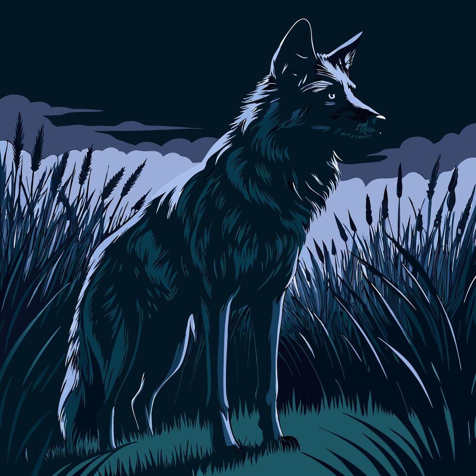 Coyote at Night in Tall Grass vector