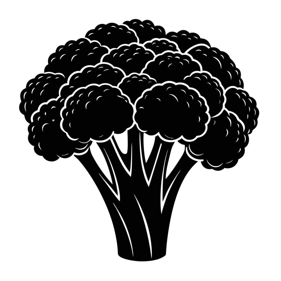 broccoli design illustration vector