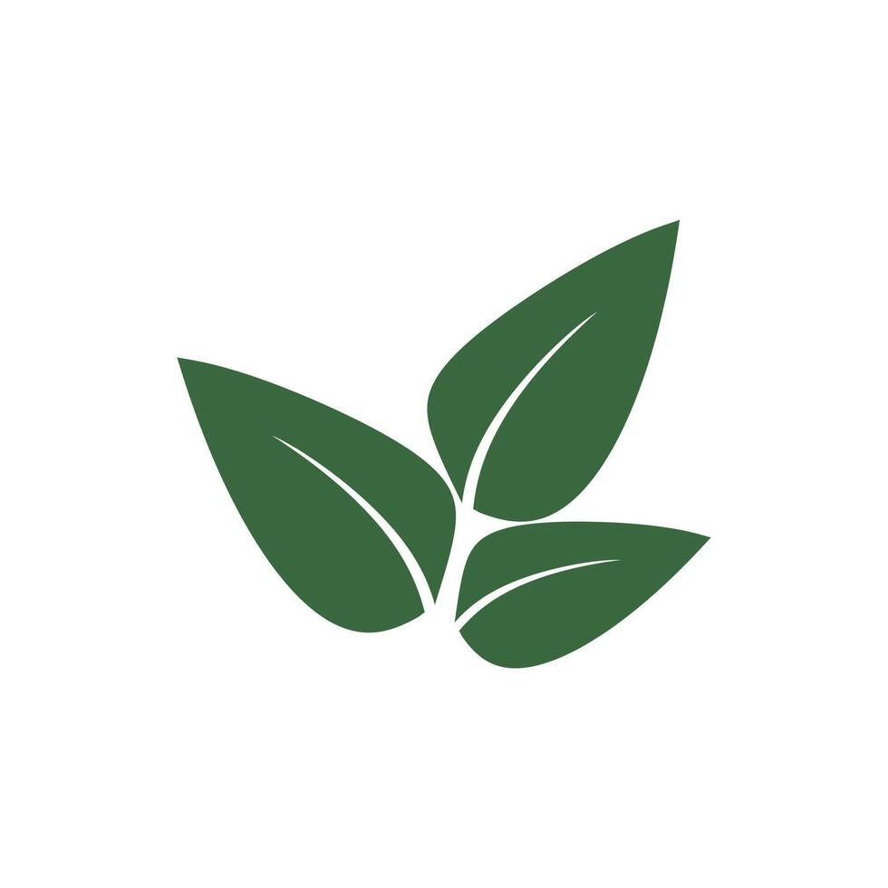 Green Mint leaf logo vector