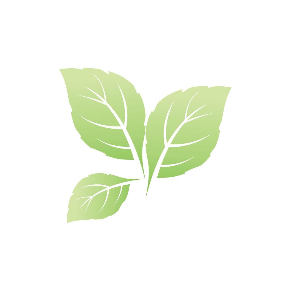Mint leaf logo stylized element template vector