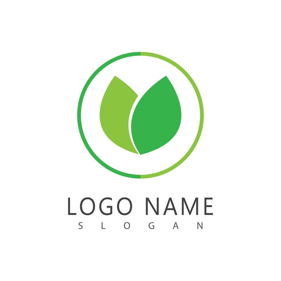 Mint leaf logo stylized element template and symbol vector