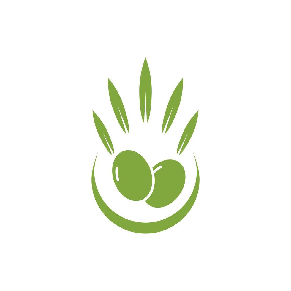 Logo olive and design template vector