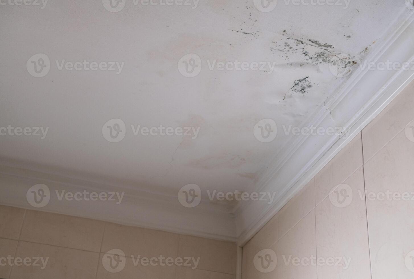 Horizontal Serious mildew and mold problem on ceiling. Mold removal service. Affected roof from rain. photo