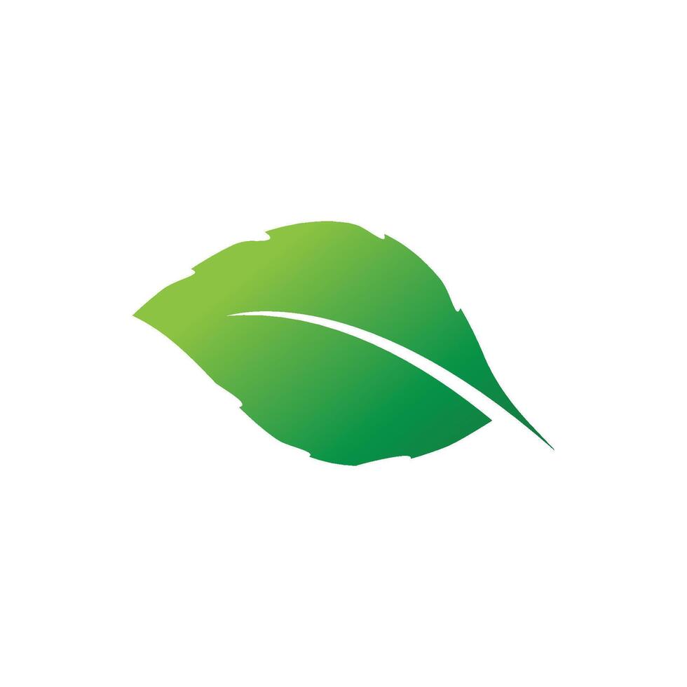 Mint leaf logo simple vector