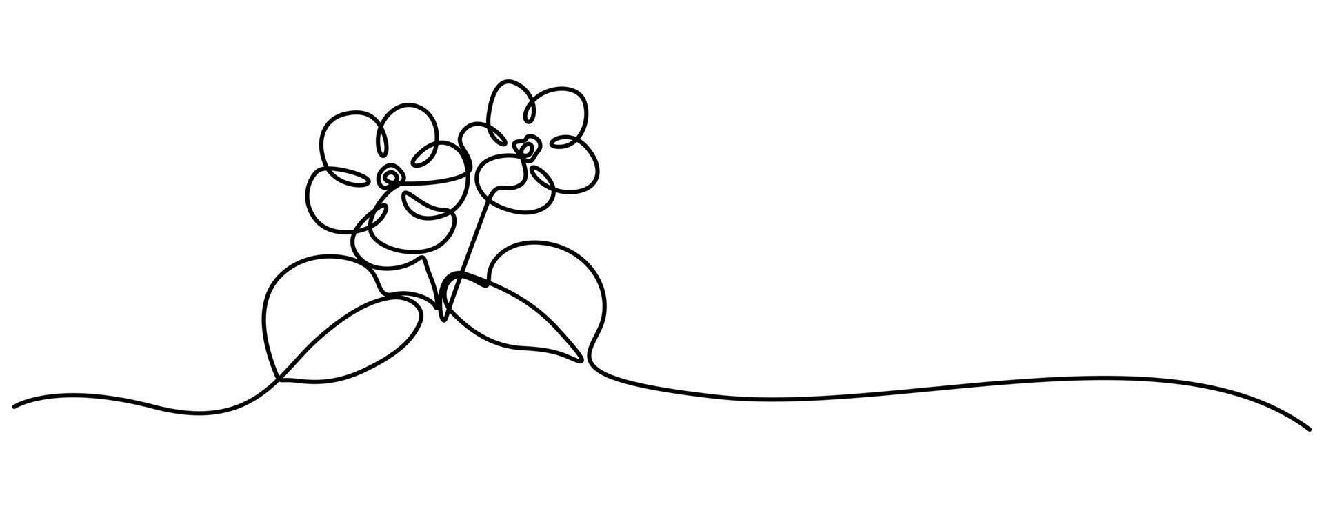 Saintpaulia flowering plant black linear sketch isolated on white background.illustration continuous on line drawing vector