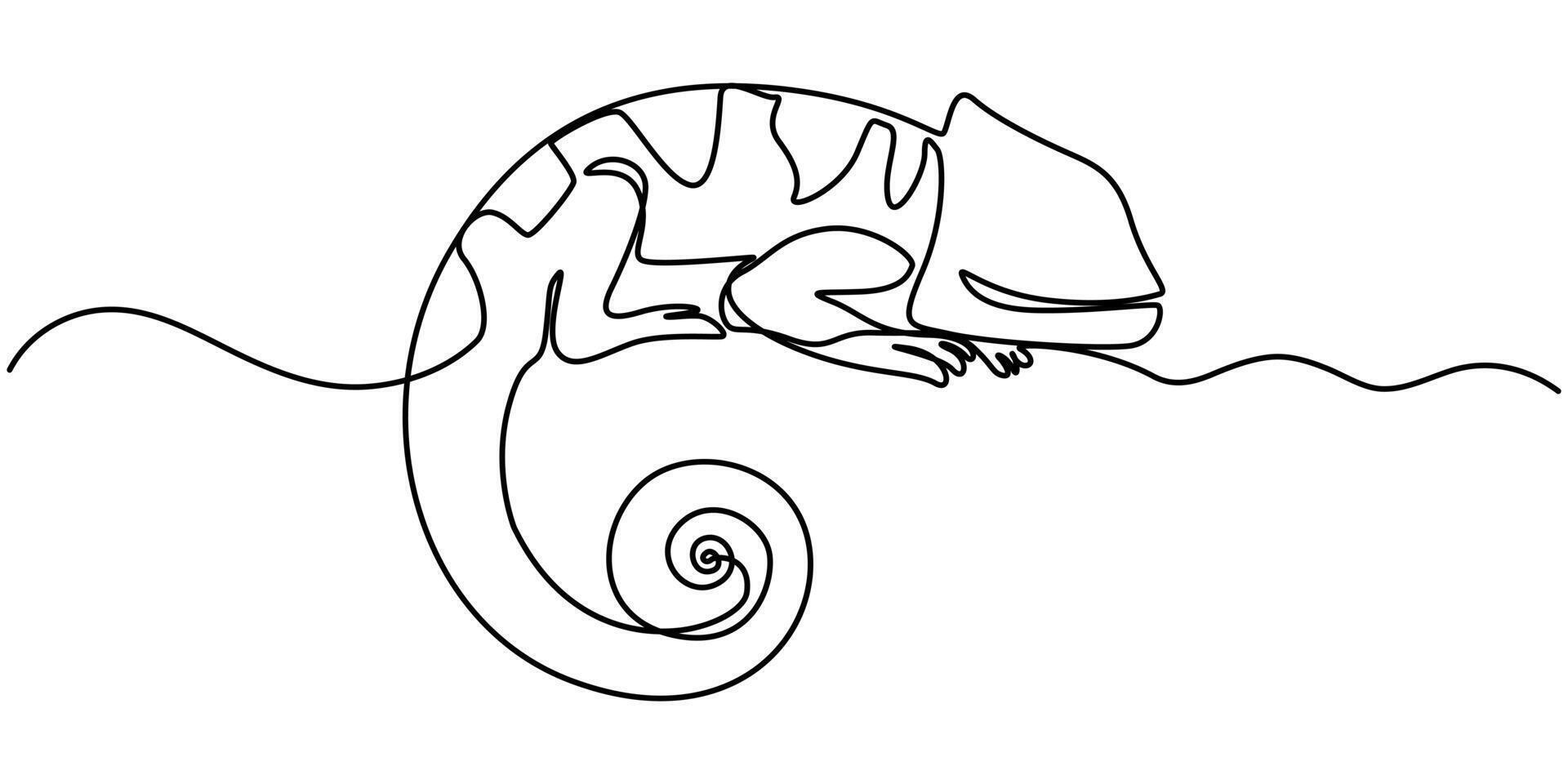 chameleon Continuous one line drawing illustration vector