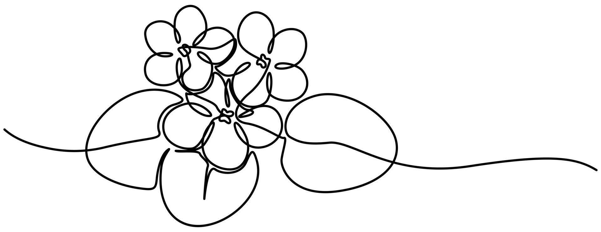 African violet in continuous line art drawing style continuous on line drawing vector