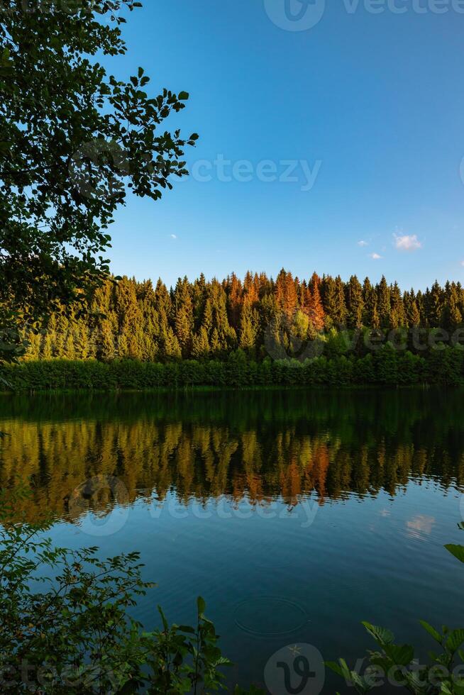 Karagol lake and forest view. Karagol lake in Artvin province of Turkey photo