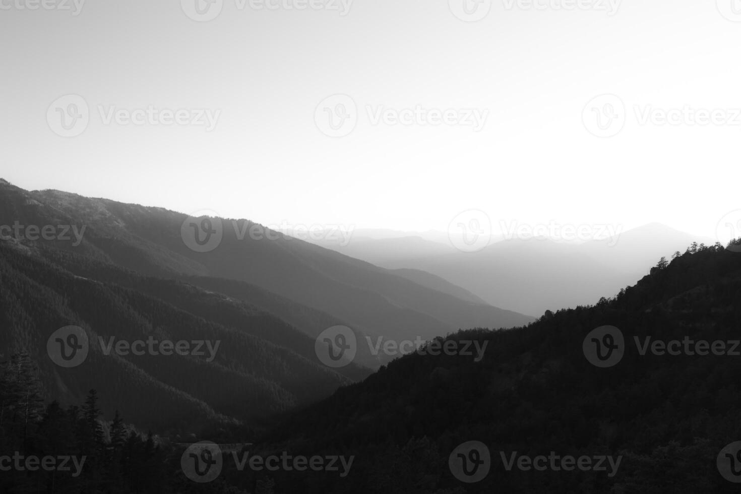 Layered forest covered mountains with fog. Black and white landscape photo