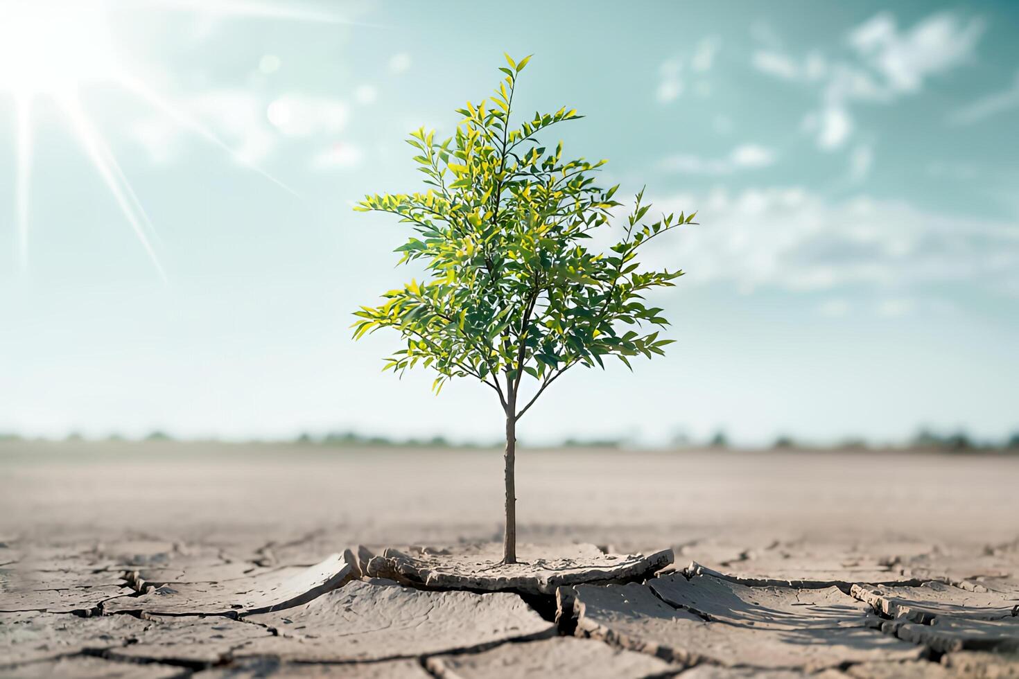 Young tree growing in cracked earth symbolizing resilience hope and nature s tenacity under bright photo