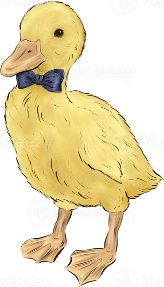 Cute Easter duckling illustration png