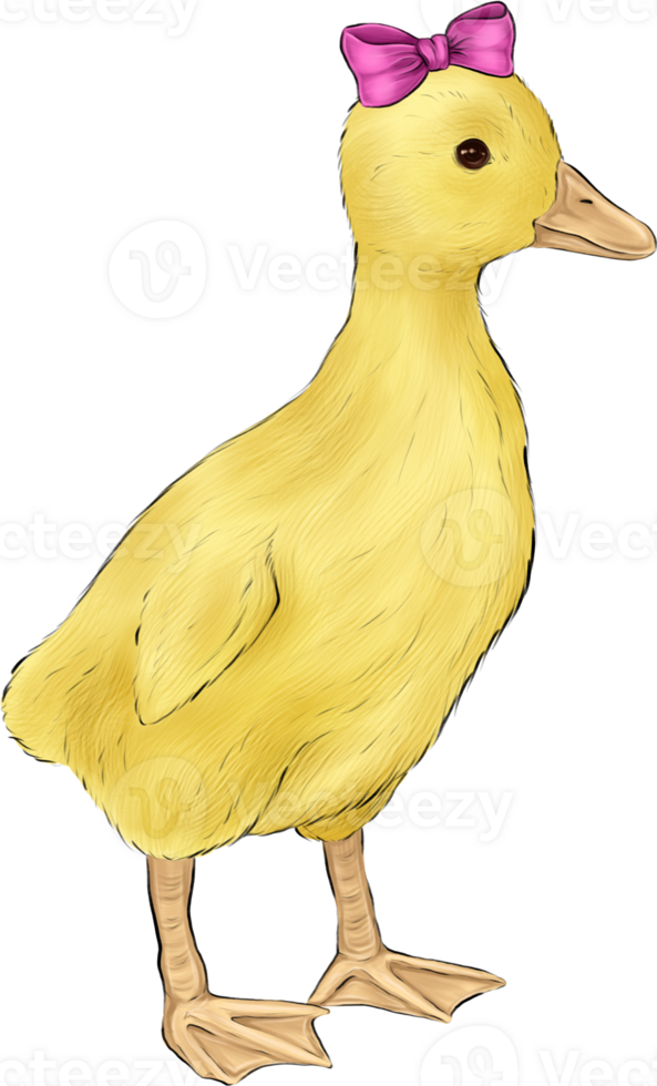 Cute easter duckling with pink bow png