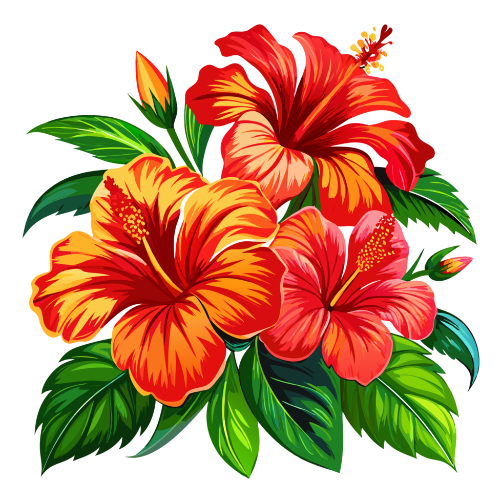 Hibiscus Flowers and Foliage in Red and Orange on Transparent png