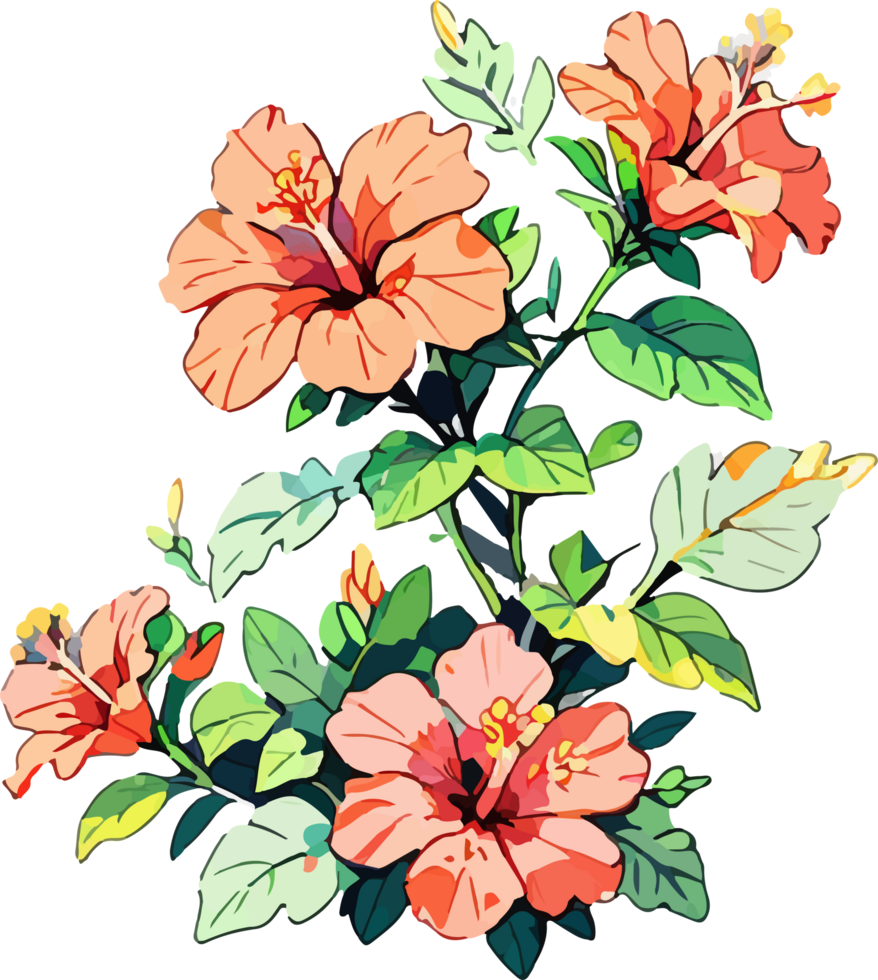 Red and Orange Hibiscus Flowers and Green Leaves in Transparent Background png