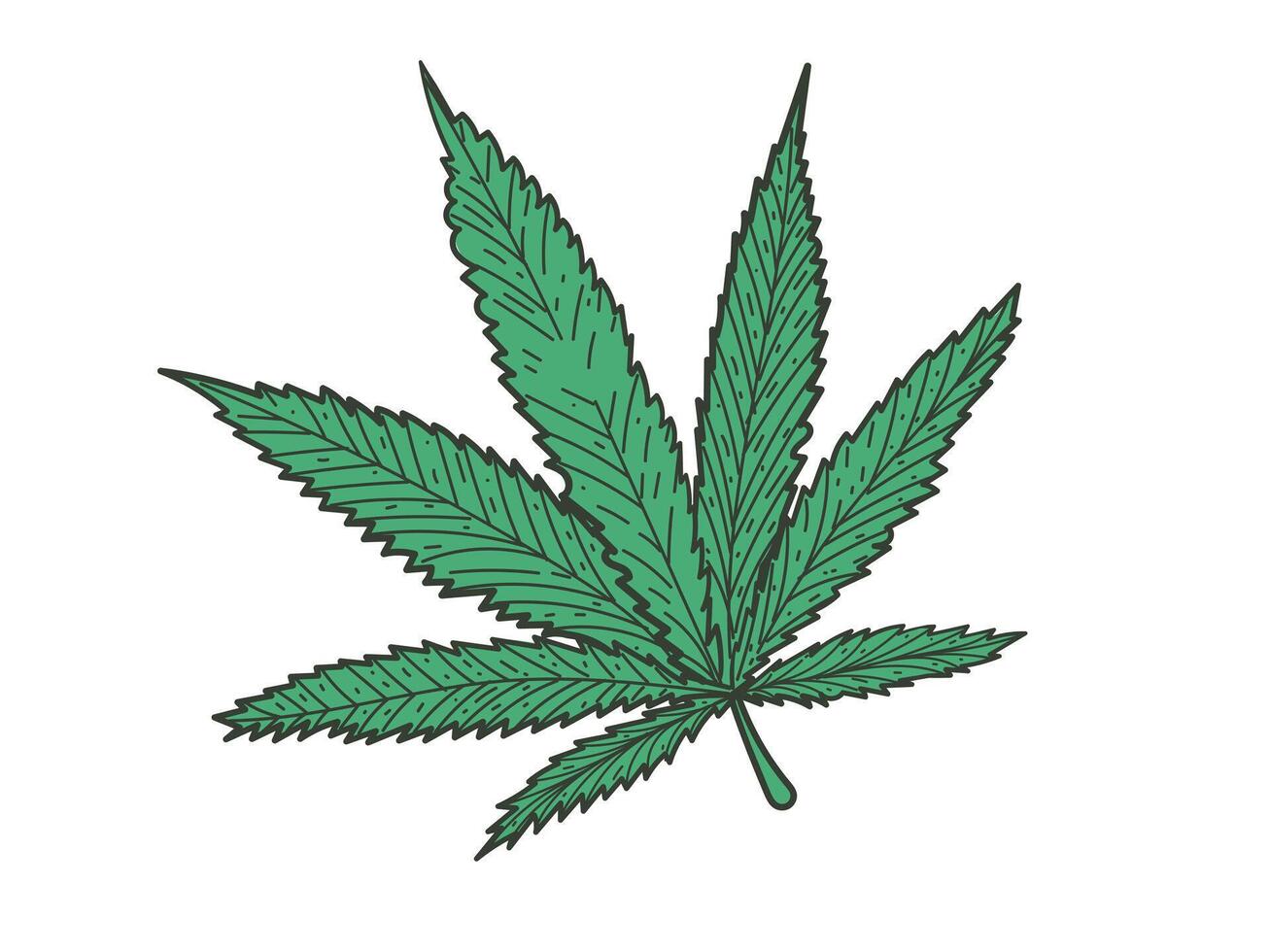 Marijuana or cannabis, Hand drawn doodle cannabis leaflet vector
