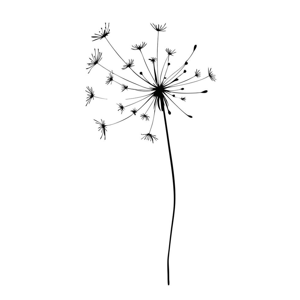 Minimalist Dandelion Seed Head Illustration On White Background For Graphic Design Elements vector