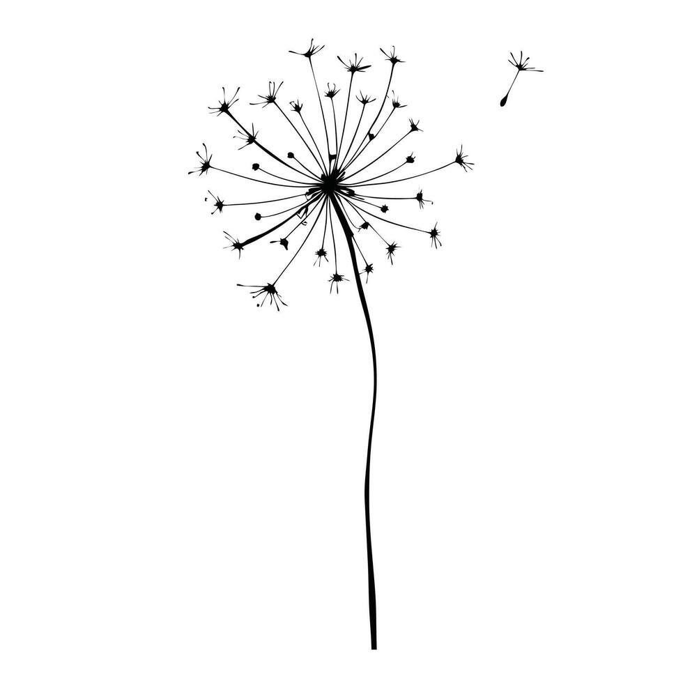 Minimalist Dandelion Seed Head Illustration With Delicate Flying Seeds On White Background vector