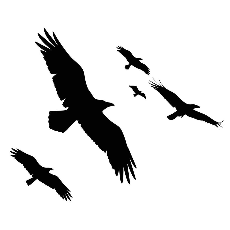 Silhouetted Eagles Soaring Elegantly Across A Plain White Sky Backdrop Graphic Design vector