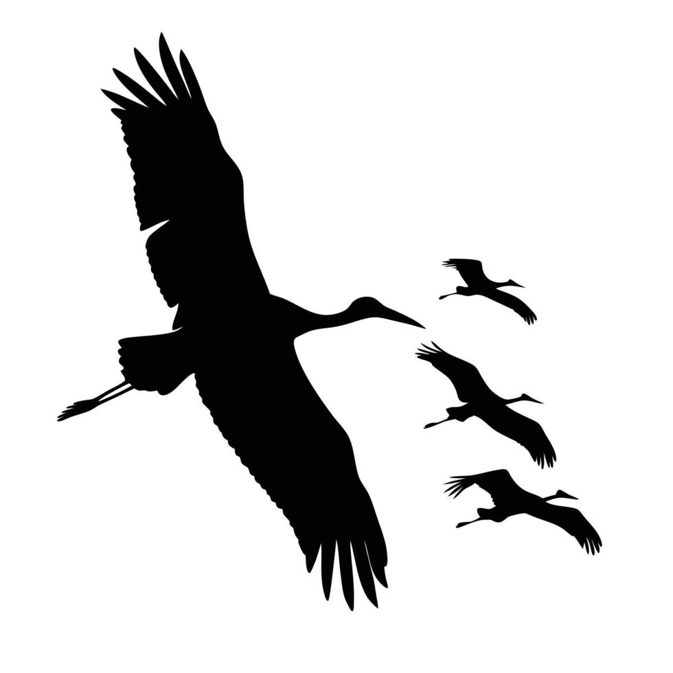 Silhouette Of Storks Flying Together In Formation On White Background Illustration vector