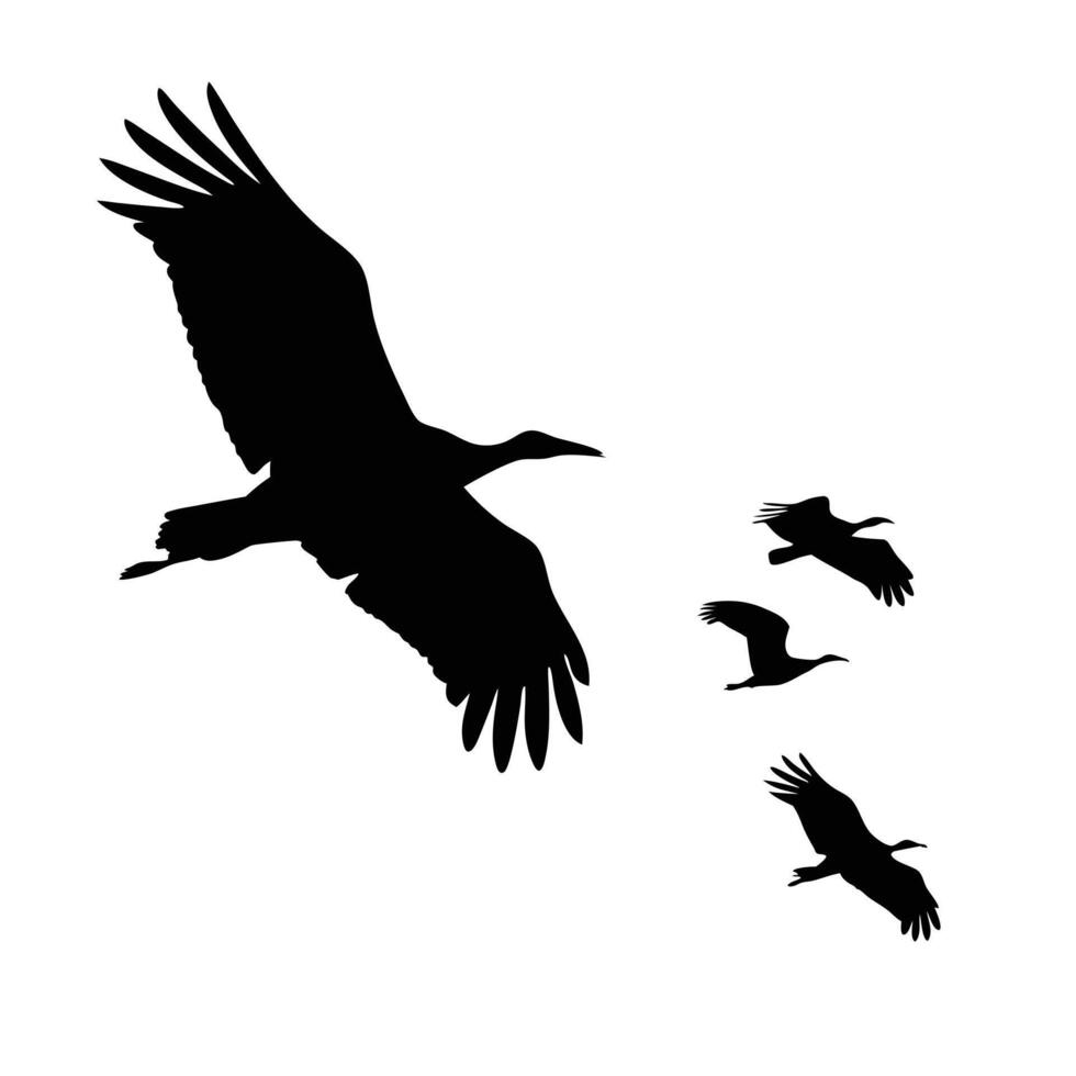 Silhouette Of Stork Birds Flying In Formation Against White Background Design vector