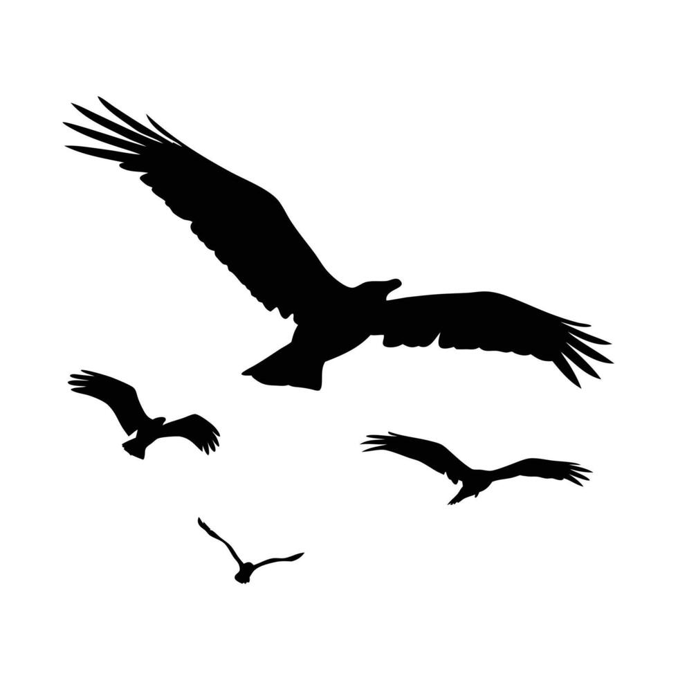 Four Birds Flying Illustration Against White Background Nature And Wildlife vector