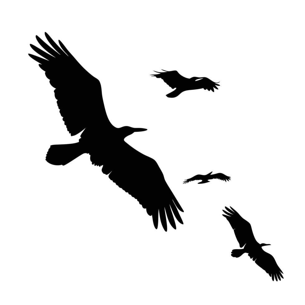 Silhouette Of Majestic Eagles Flying Freely In A White Sky Background vector