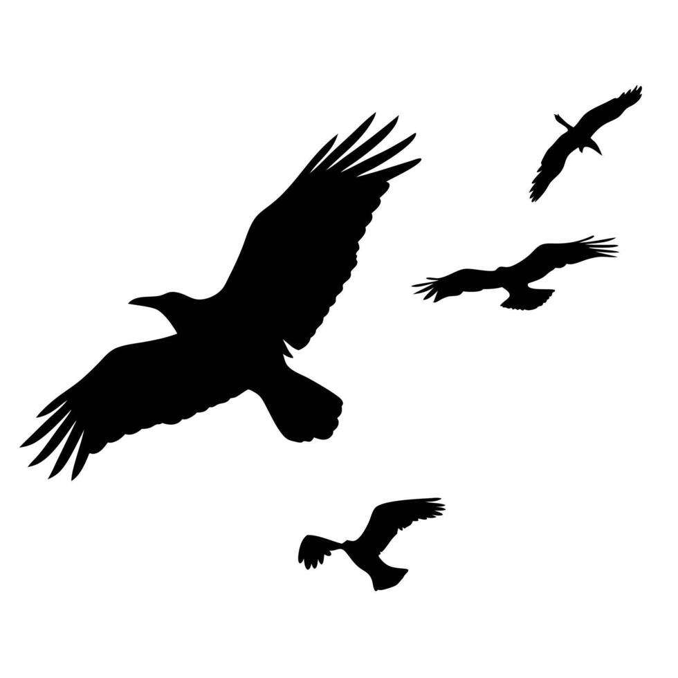 Flock Of Birds Flying Black Silhouette Against White Background Illustration vector