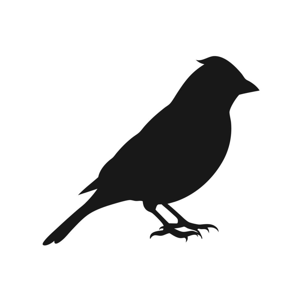 Standing Cardinal Silhouette Illustration Bird Graphic Design Element vector
