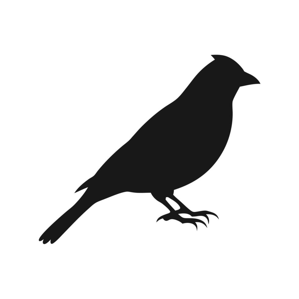 Bird Silhouette Illustration Isolated On White Background Graphic Resource vector