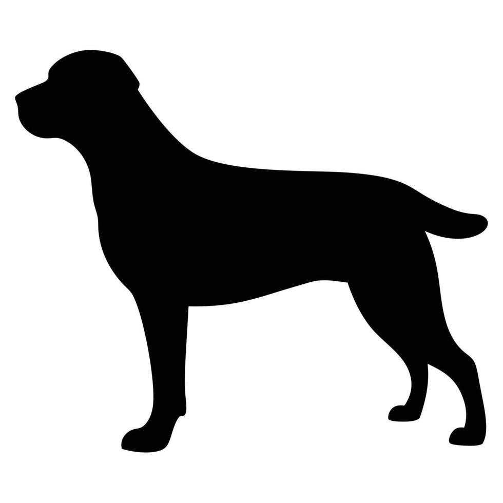 Rottweiler Dog Breed Silhouette Illustration Standing In Profile Isolated On White vector
