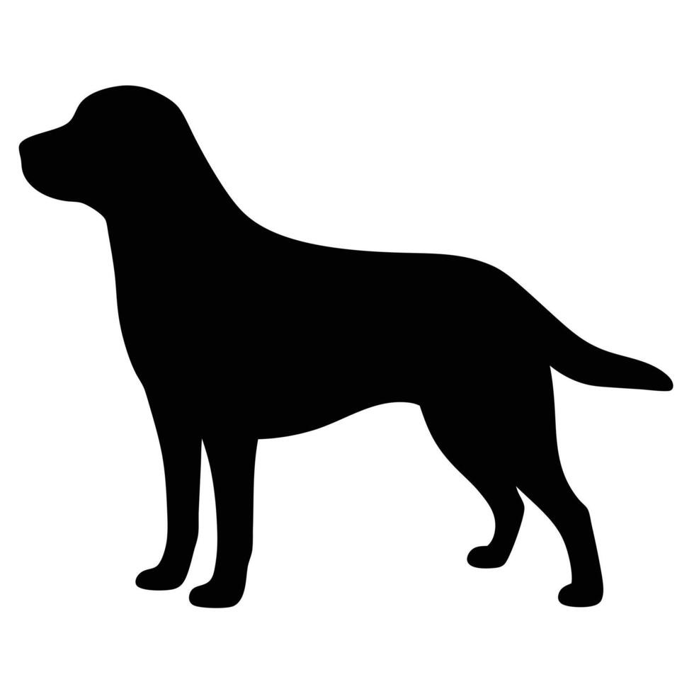 Labrador Retriever Silhouette Illustration Dog Breed Isolated Standing View vector