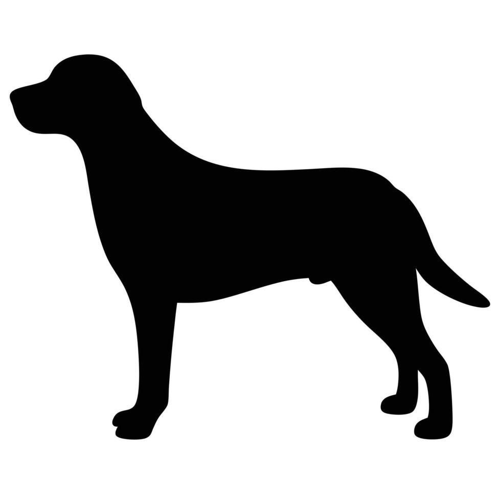 Black Silhouette Of A Standing Dog Against White Background Illustration vector