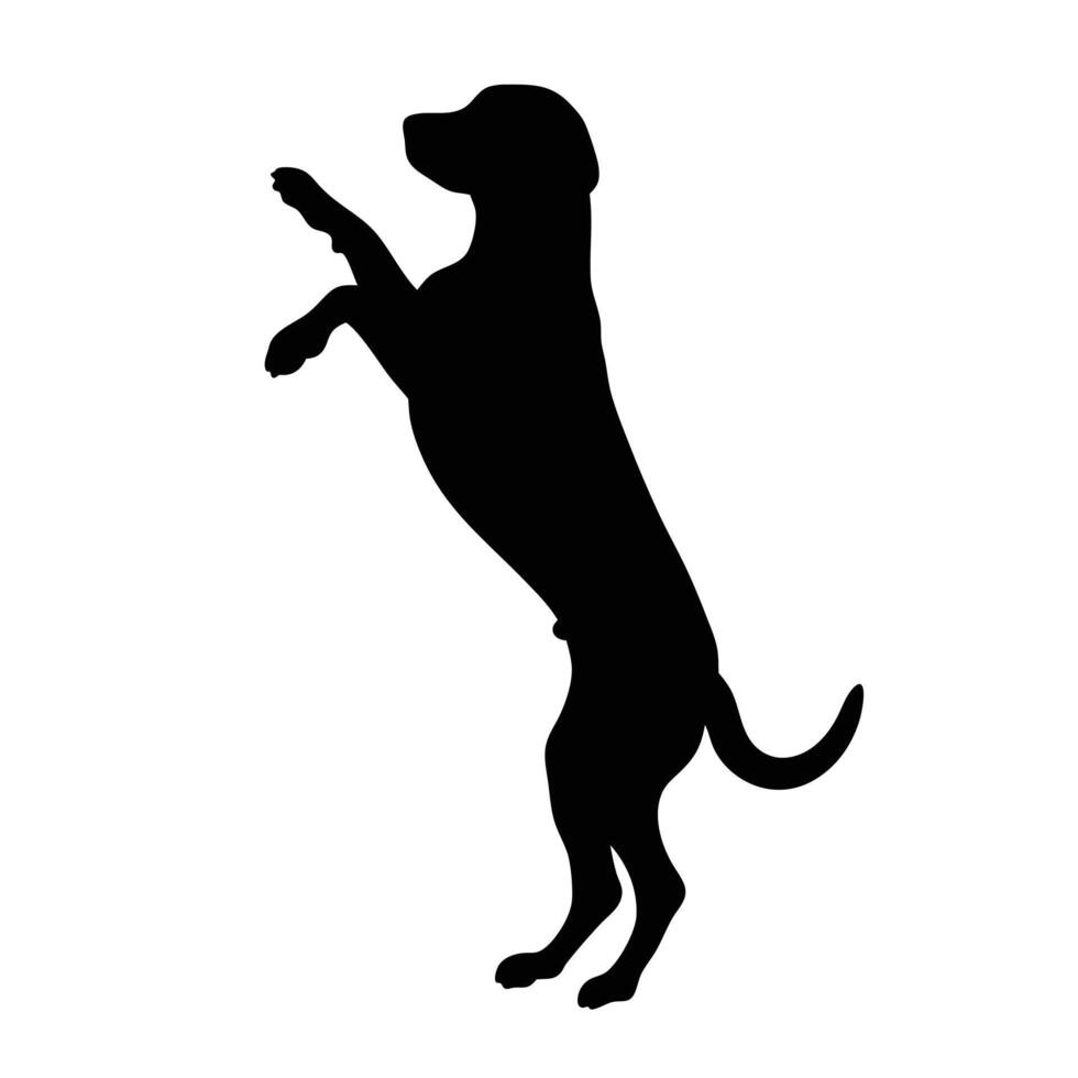 Standing Dog Silhouette Art For Design And Decoration Use vector