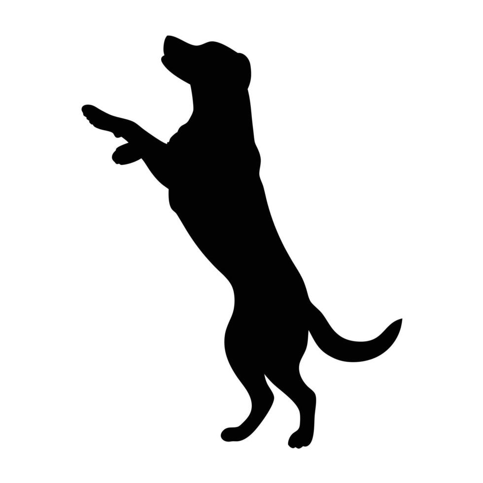 Dog Silhouette Standing On Hind Legs Looking Upward Isolated On White vector