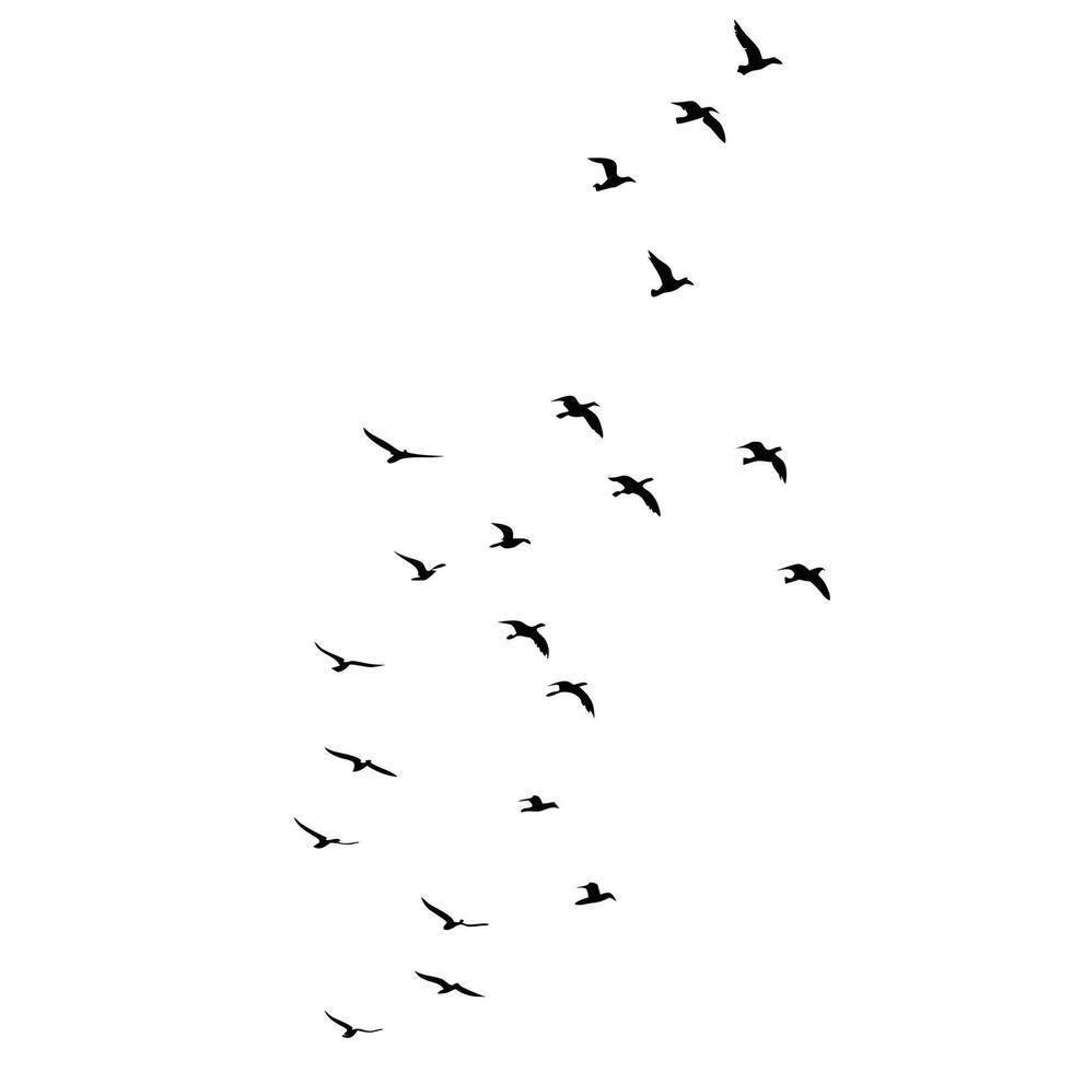 Silhouetted Birds Flying Gracefully In Formation On White Background Illustration vector