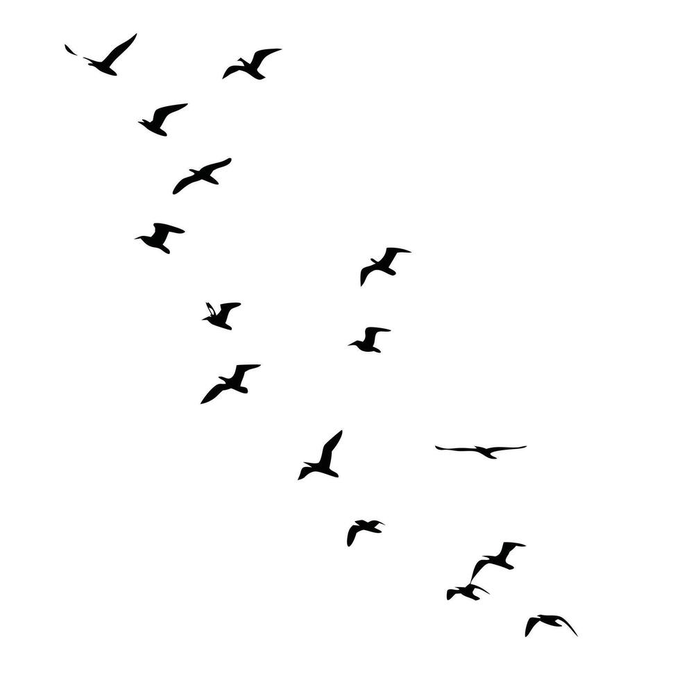Flock Of Birds Silhouettes Flying Against White Background Simple Minimalist Illustration vector