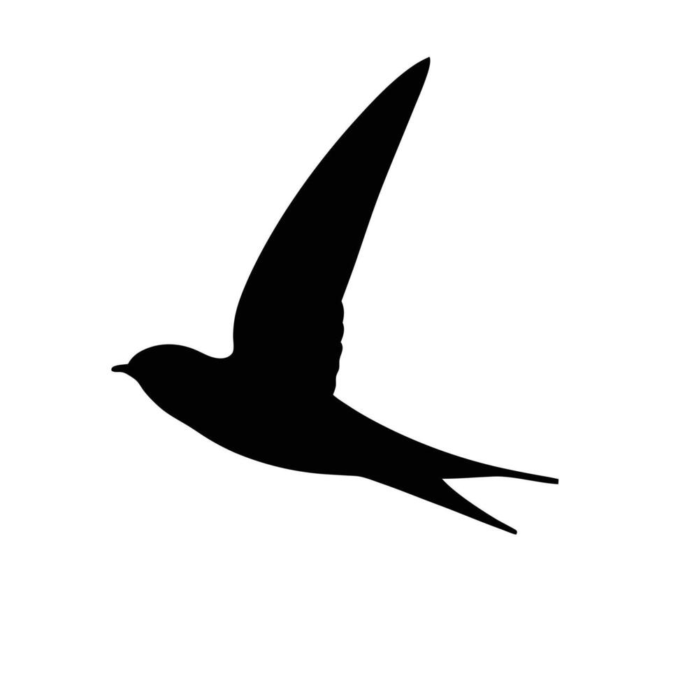 Graceful Black Swallow Silhouette Isolated Against A Plain White Background Art vector