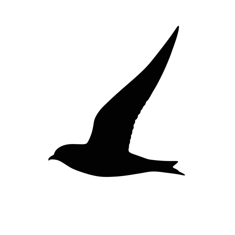 Black Silhouette Illustration Of Swift Bird Flying On White Background vector