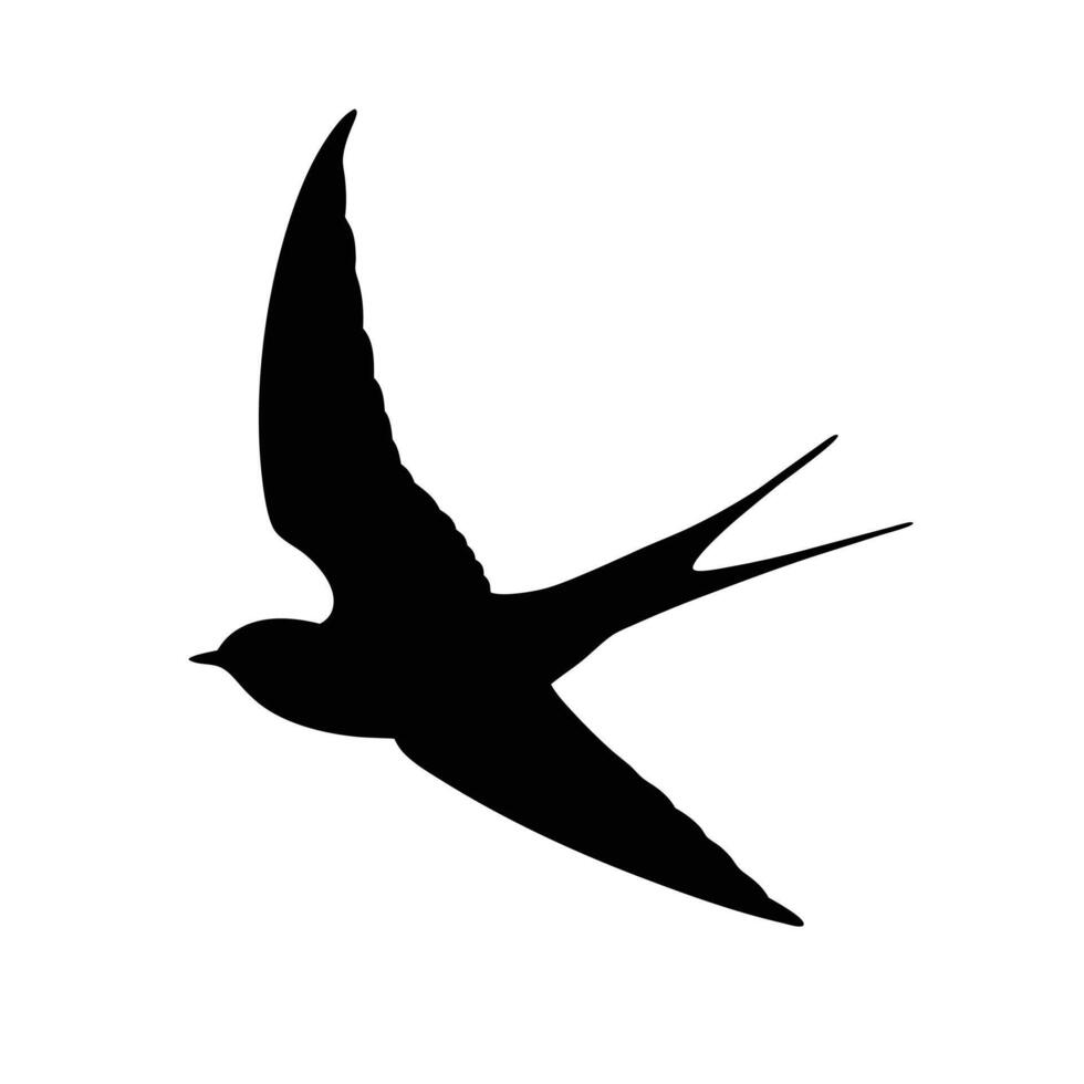 Silhouette Of A Graceful Swallow In Flight Against A Clean White Background vector