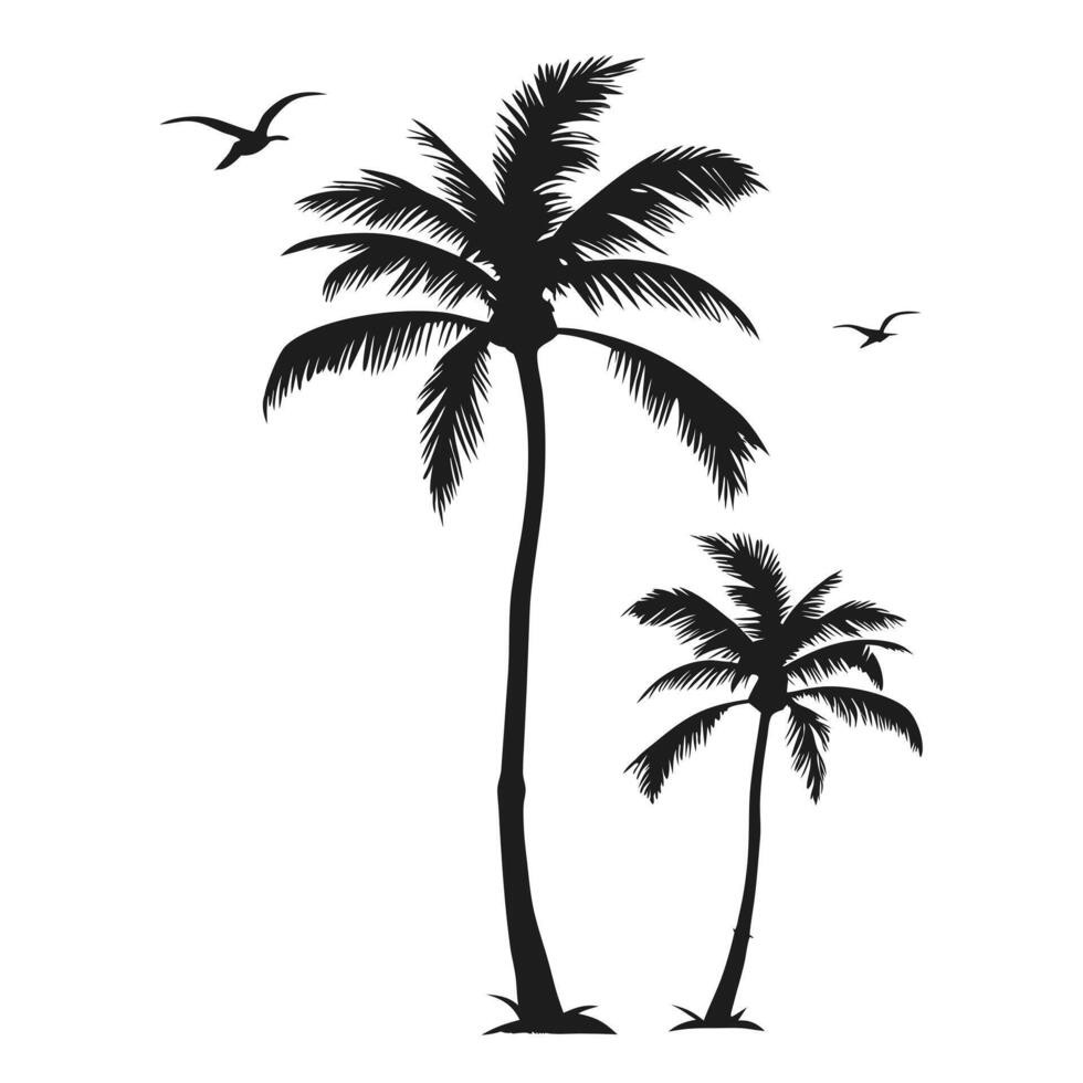 Tropical Palm Tree Silhouette With Flying Birds Isolated On White Background vector