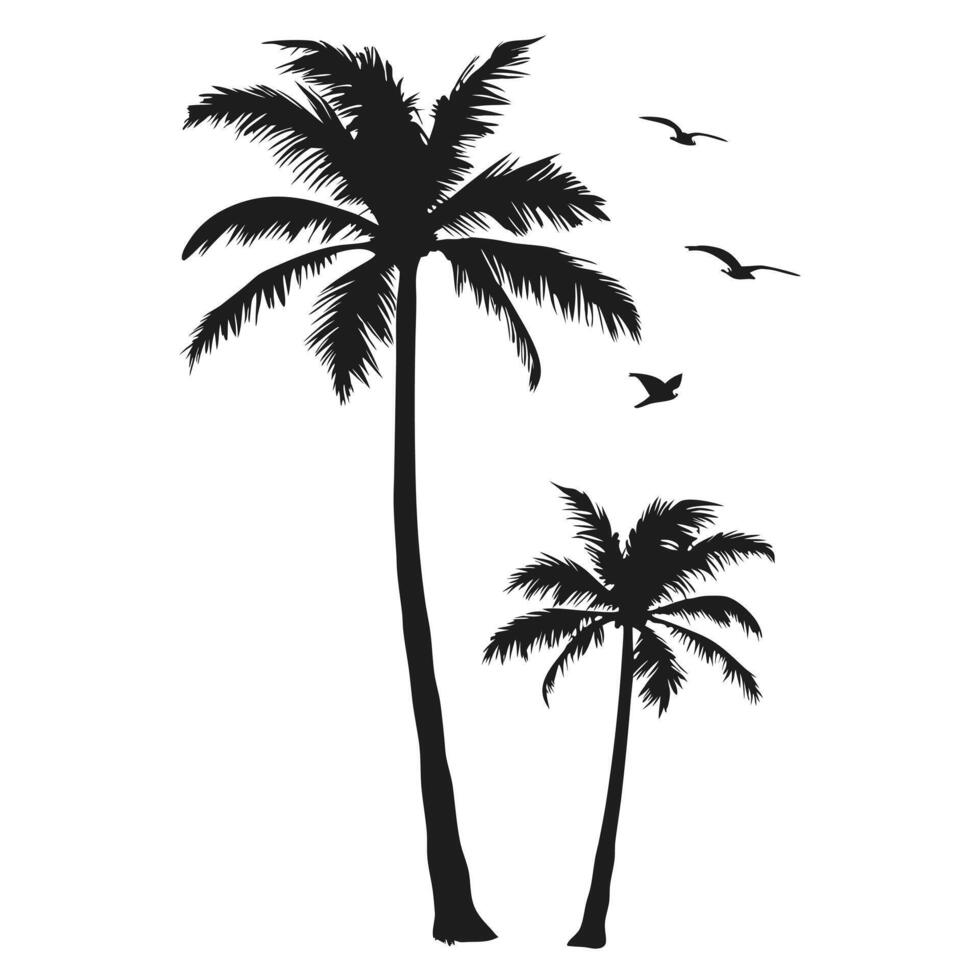 Tropical Black Silhouette Of Palm Trees And Flying Birds On A White Background vector