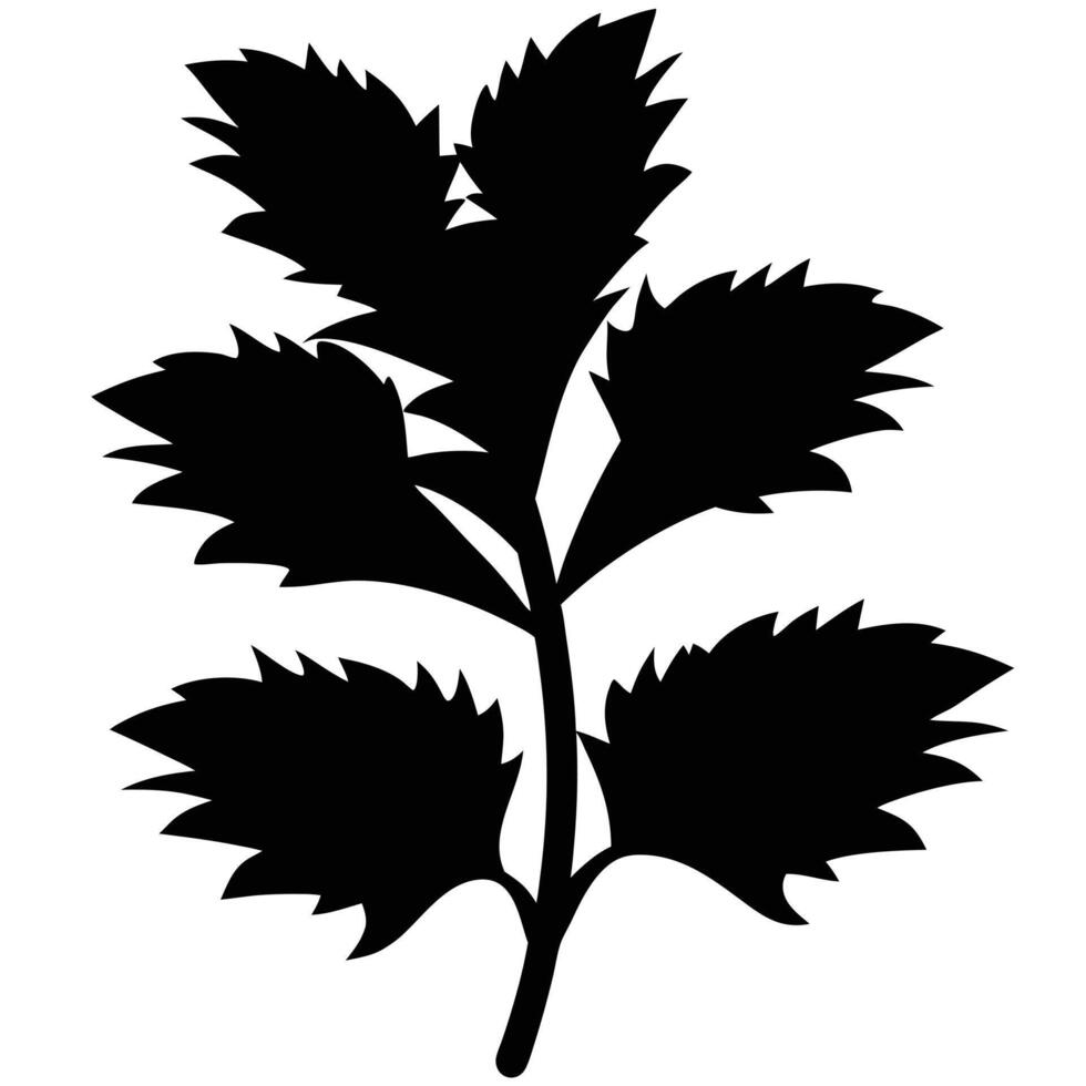 Black Silhouette Of Plant With Jagged Leaves Isolated On White Background Illustration vector